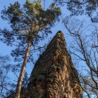 �esk� r�j - P��hrazsk� sk�ly
