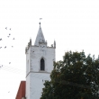Pouzd�any