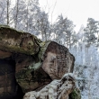 okol� Kuksu