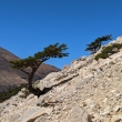 Trail Base de las Torres