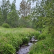 umava - Studen potok