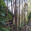 �esk� �v�carsko - cesta k Dolsk�mu ml�nu