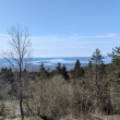 Oslofjord z Frognersenteren