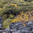�erstv� l�va - poloostrov Reykjanes