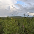 Karasjok