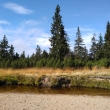 Jizerka