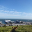 Dover