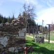 Buina