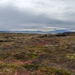 NP Þingvellir