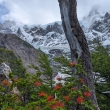 Mirador Valle del Frances