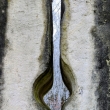 okolo Kuksu