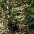 Jizersk hory - Mosk cesta