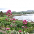 Invereve Garden