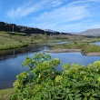 Þingvellir