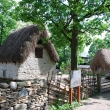 Skansen