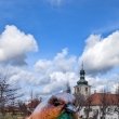 Kutn Hora