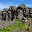 Þingvellir