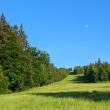 Ramzov