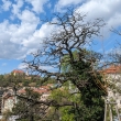 Brno - pilberk