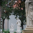 �akvice