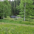 �umava - Roklansk� potok