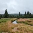 Jizerka - Safrov potok