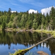 Jezero Laka