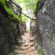 Kokonsko