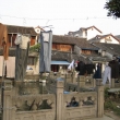 Shaoxing