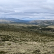 NP Rondane