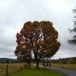 �umava
