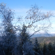 Jetdsk hebenovka