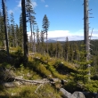 Krkono�e