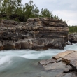 �v�dsk� Abisko