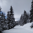 Krkono�e